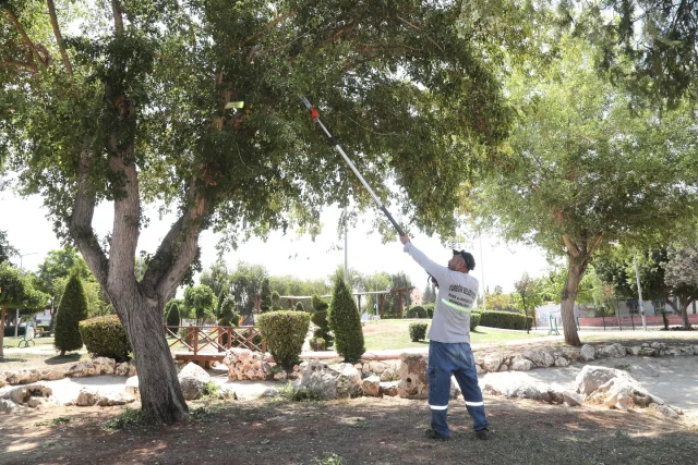 🌿 Yüreğir İçin Yürekten

👉 Park Bahçeler ekiplerimizin mevsimlik çim biçme, budama ve bakım çalışmaları aralıksız devam ediyor.

📍Karacaoğlan Mahallesi